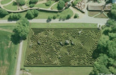 Hedge Maze Picture